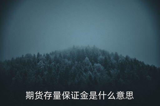 存量資金是什么意思，期貨存量保證金是什么意思