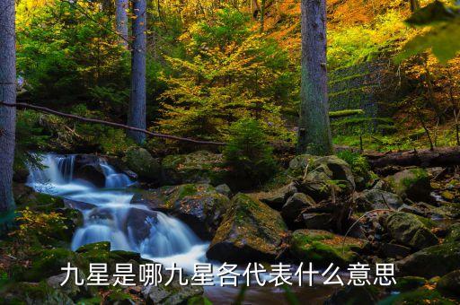 什么是榮譽股，什么是榮譽博士