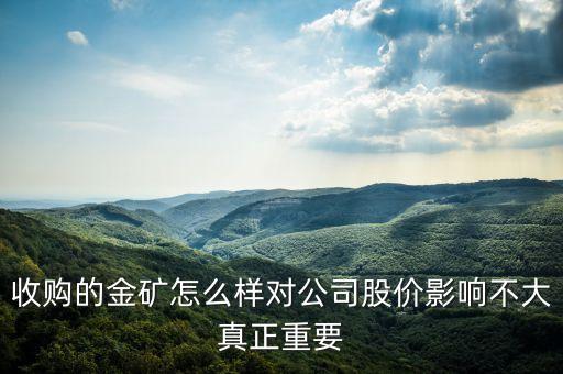 收購的金礦怎么樣對公司股價(jià)影響不大真正重要
