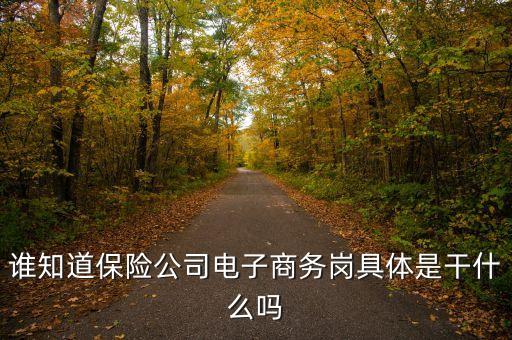財險電子商務干什么，誰知道保險公司電子商務崗具體是干什么嗎