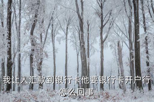 我讓人匯款到銀行卡他要銀行卡開戶行怎么回事