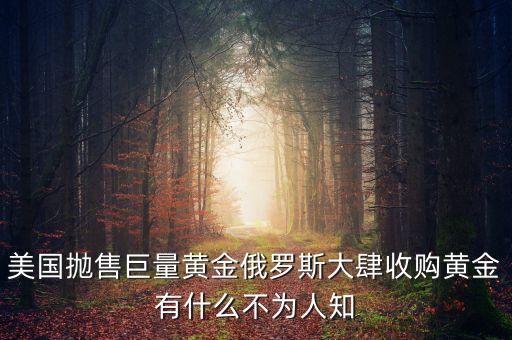 俄羅斯買那么多黃金有什么用，為什么中國和俄羅斯購買這么多黃金