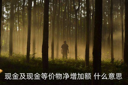 現(xiàn)金及現(xiàn)金等價物凈增加額 什么意思