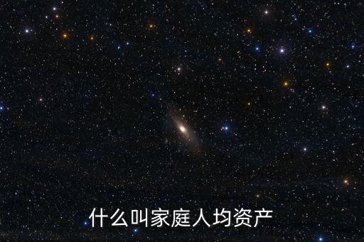 什么叫家庭人均資產(chǎn)
