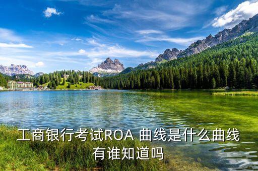 工商銀行考試ROA 曲線是什么曲線有誰知道嗎