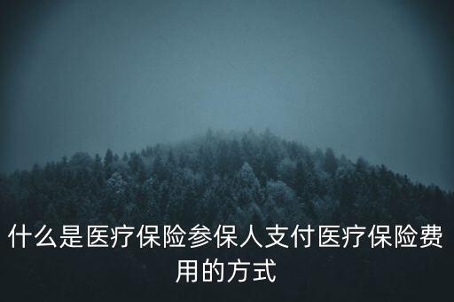 什么是醫(yī)療保險(xiǎn)參保人支付醫(yī)療保險(xiǎn)費(fèi)用的方式