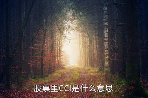 股票中的cci是什么意思，股票里的CCI是啥意思