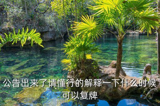 公告出來了請懂行的解釋一下什么時候可以復(fù)牌