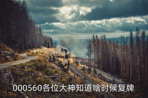 譽(yù)衡藥業(yè)什么時候復(fù)牌，000560各位大神知道啥時候復(fù)牌