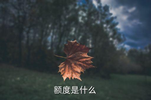 產(chǎn)品額度是什么意思，民生銀行理財(cái)產(chǎn)品額度100是啥意思