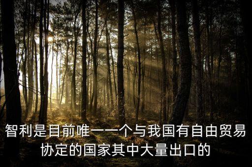 智利是目前唯一一個與我國有自由貿(mào)易協(xié)定的國家其中大量出口的