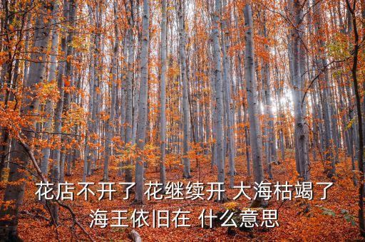  花店不開了 花繼續(xù)開 大?？萁吡?海王依舊在 什么意思