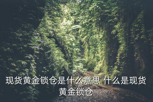 黃金鎖倉是什么意思，在做單現(xiàn)貨黃金鎖倉又是什么意思