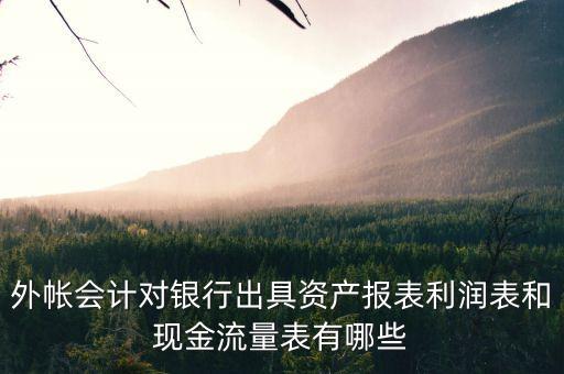 外帳會(huì)計(jì)對(duì)銀行出具資產(chǎn)報(bào)表利潤表和現(xiàn)金流量表有哪些