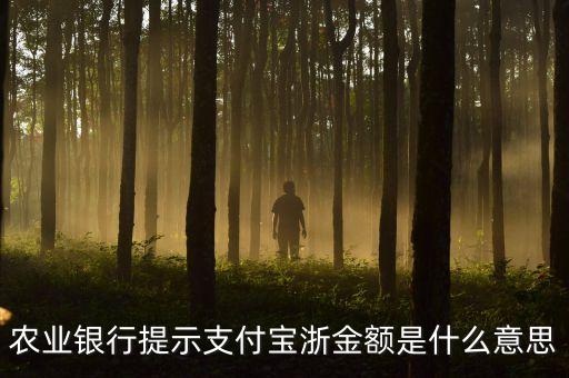 浙金額是什么意思，農(nóng)業(yè)銀行提示支付寶浙金額是什么意思