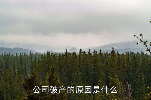 三英集團(tuán)為什么破產(chǎn)，公司破產(chǎn)的原因是什么