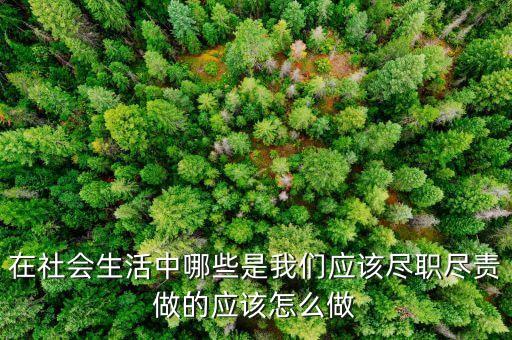 在什么什么方面盡職者，在社會生活中哪些是我們應該盡職盡責做的應該怎么做