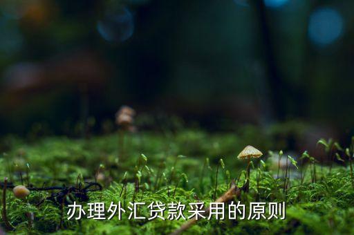 貸款三查指什么，銀行貸款三查不嚴能使貸款合同無效嗎