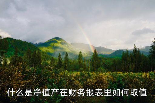 什么是凈值產(chǎn)在財務報表里如何取值