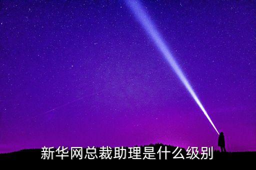 人民網(wǎng)總裁什么級別，人民網(wǎng)總裁廖玒被查是什么原因廖玒為什么被查 廖玒簡歷背景資料