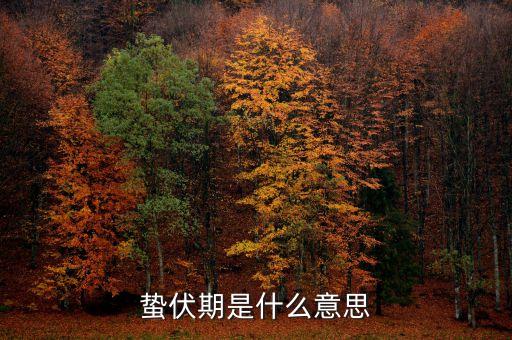 蟄伏期是什么意思，感情的蟄伏期這是什么意思啊