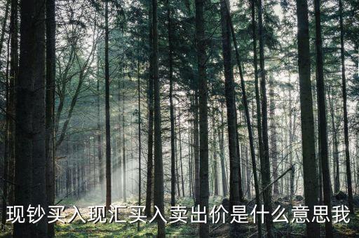 現(xiàn)鈔賣出價是什么意思，現(xiàn)鈔買入現(xiàn)匯買入賣出價是什么意思我