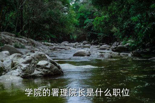 署理主席是什么意思，暑理是什么職務