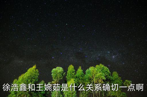 徐浩鑫和王婉茹是什么關(guān)系確切一點(diǎn)啊