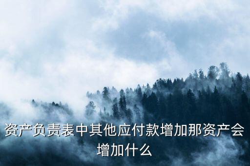 資產(chǎn)負責表中其他應付款增加那資產(chǎn)會增加什么