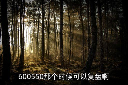 文山山電力什么時間復盤，000903股票什么時候能復盤