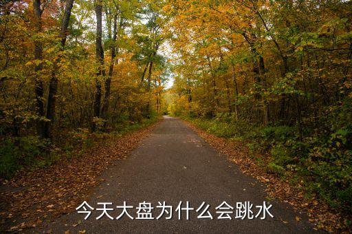 今天大盤為什么會跳水
