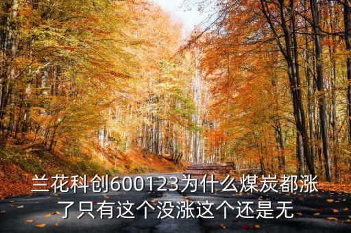 蘭花科創(chuàng)為什么不漲，601001怎么不漲啊