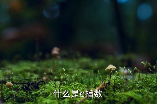 明晟指數是什么，行車記錄儀這個圖標的含義是什么