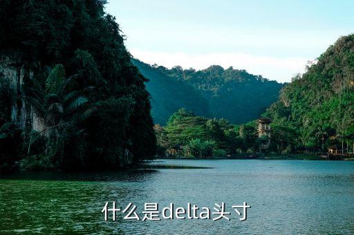 什么是聯(lián)邦頭寸，什么是delta頭寸