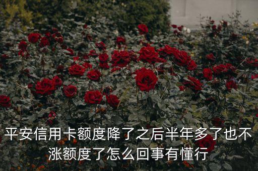 平安銀行為什么不漲，為什么平安銀行非公開(kāi)發(fā)行成功而股票不漲
