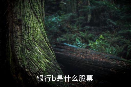 銀行b是什么股票交易，銀行b是什么股票