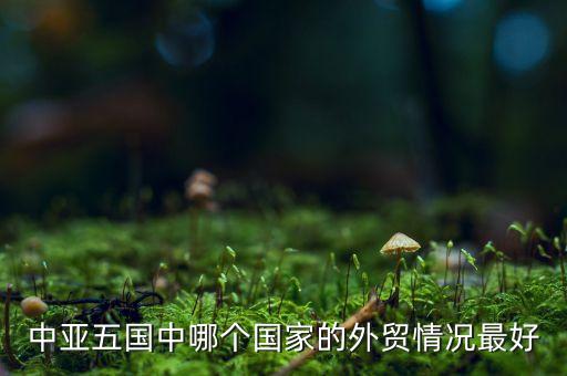 給中亞國家出口什么，新疆主要出口什么出口國大概有哪些有沒有走深圳出口的
