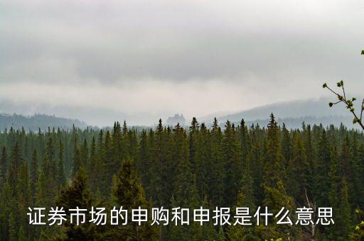 金融行業(yè)中的逐日申報是什么意思，外貿(mào)中到到銀行申報是什么意思申報什么呢哪位高人指點一下謝