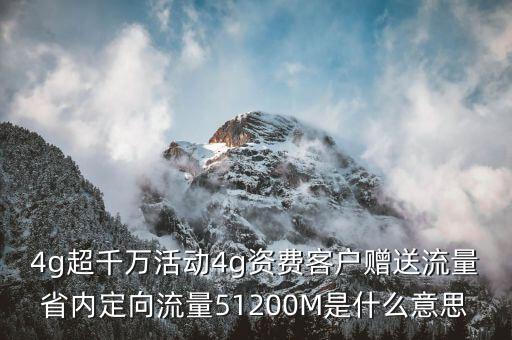 4g超千萬活動4g資費客戶贈送流量省內(nèi)定向流量51200M是什么意思