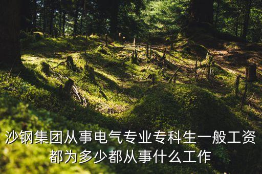 沙鋼集團從事電氣專業(yè)?？粕话愎べY都為多少都從事什么工作