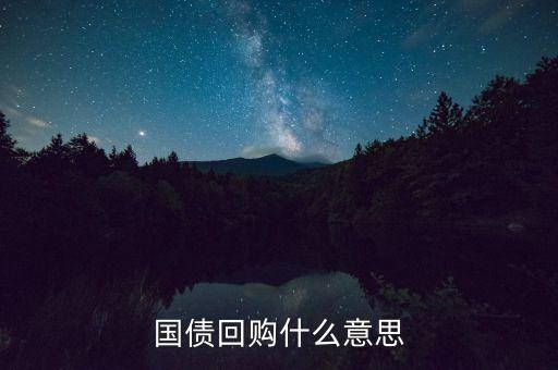 國債回購是什么意思，131801國債回購是什么意思