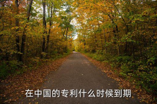 在中國(guó)的專利什么時(shí)候到期