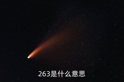 263代表什么，263什么意思啊
