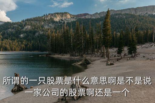所謂的一只股票是什么意思啊是不是說(shuō)一家公司的股票啊還是一個(gè)