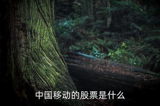 中國移動(dòng)的股票是什么
