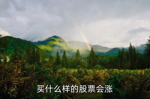 買什么樣的股票會(huì)漲