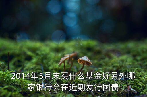 2014年5月末買什么基金好另外哪家銀行會(huì)在近期發(fā)行國(guó)債