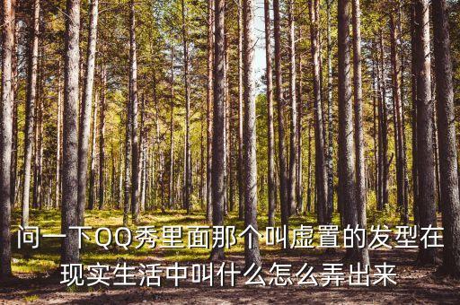 問(wèn)一下QQ秀里面那個(gè)叫虛置的發(fā)型在現(xiàn)實(shí)生活中叫什么怎么弄出來(lái)