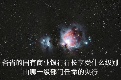 各省的國(guó)有商業(yè)銀行行長(zhǎng)享受什么級(jí)別由哪一級(jí)部門(mén)任命的央行