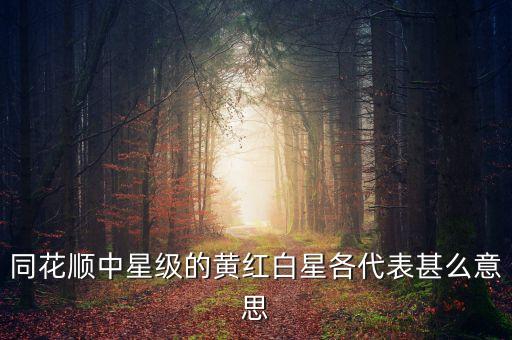 同花順黃星代表什么，同花順股票代碼前的白星黃星紅星各代表甚么